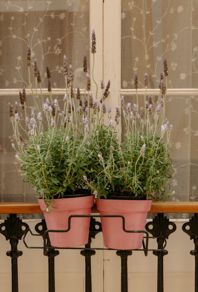 Adjustable metal planter bracket clamped tightly to a round metal balcony railing.