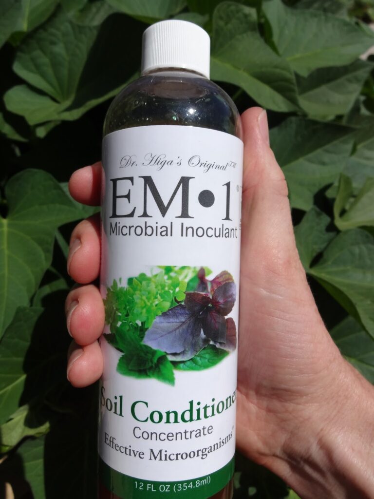 Mycorrhizal Inoculants
