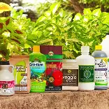 Plant-Based Liquid Bio-Fertilizers