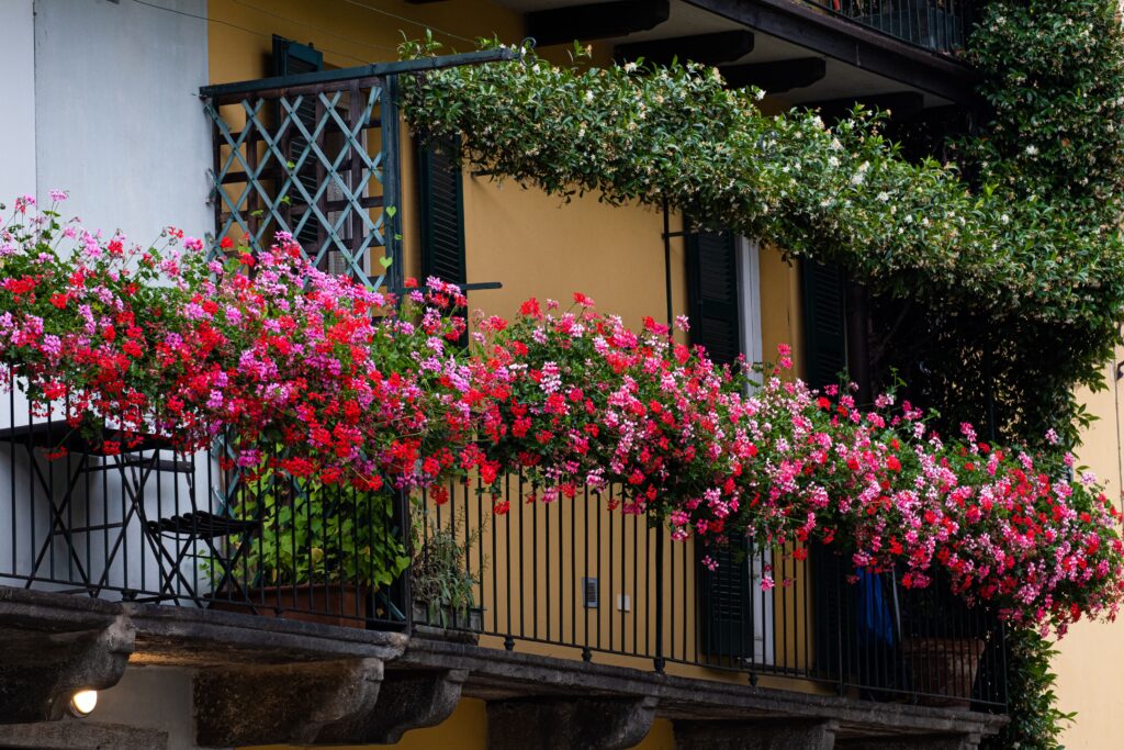 Balcony railing planter box arranged with tall purple salvia, bushy yellow marigolds, and trailing calibrachoa.