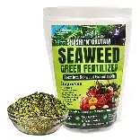 Liquid Kelp