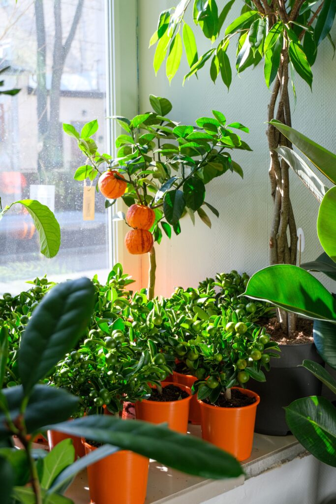 31 Balcony Railing Planter Ideas
