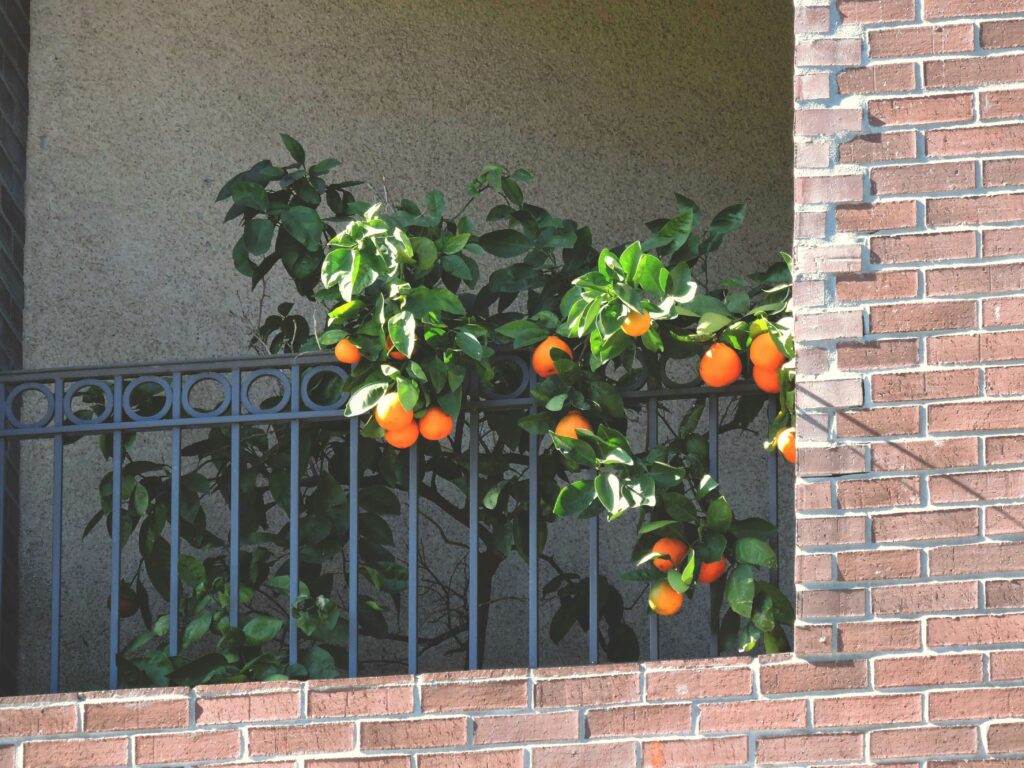 31 Balcony Railing Planter Ideas