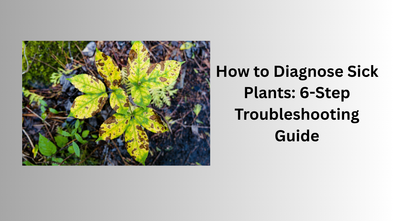 How to Diagnose Sick Plants: 6-Step Troubleshooting Guide