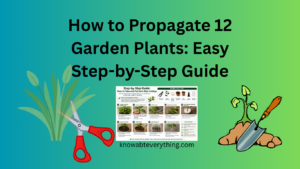 How to Propagate 12 Garden Plants: Easy Step-by-Step Guide