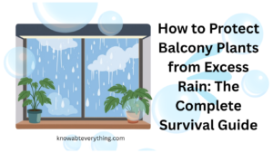 How to Protect Balcony Plants from Excess Rain: The Complete Survival Guide