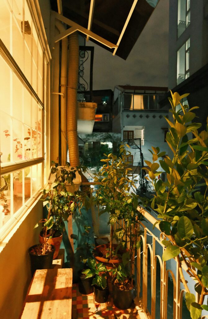 A Plants in Balcony Covering With Sheds